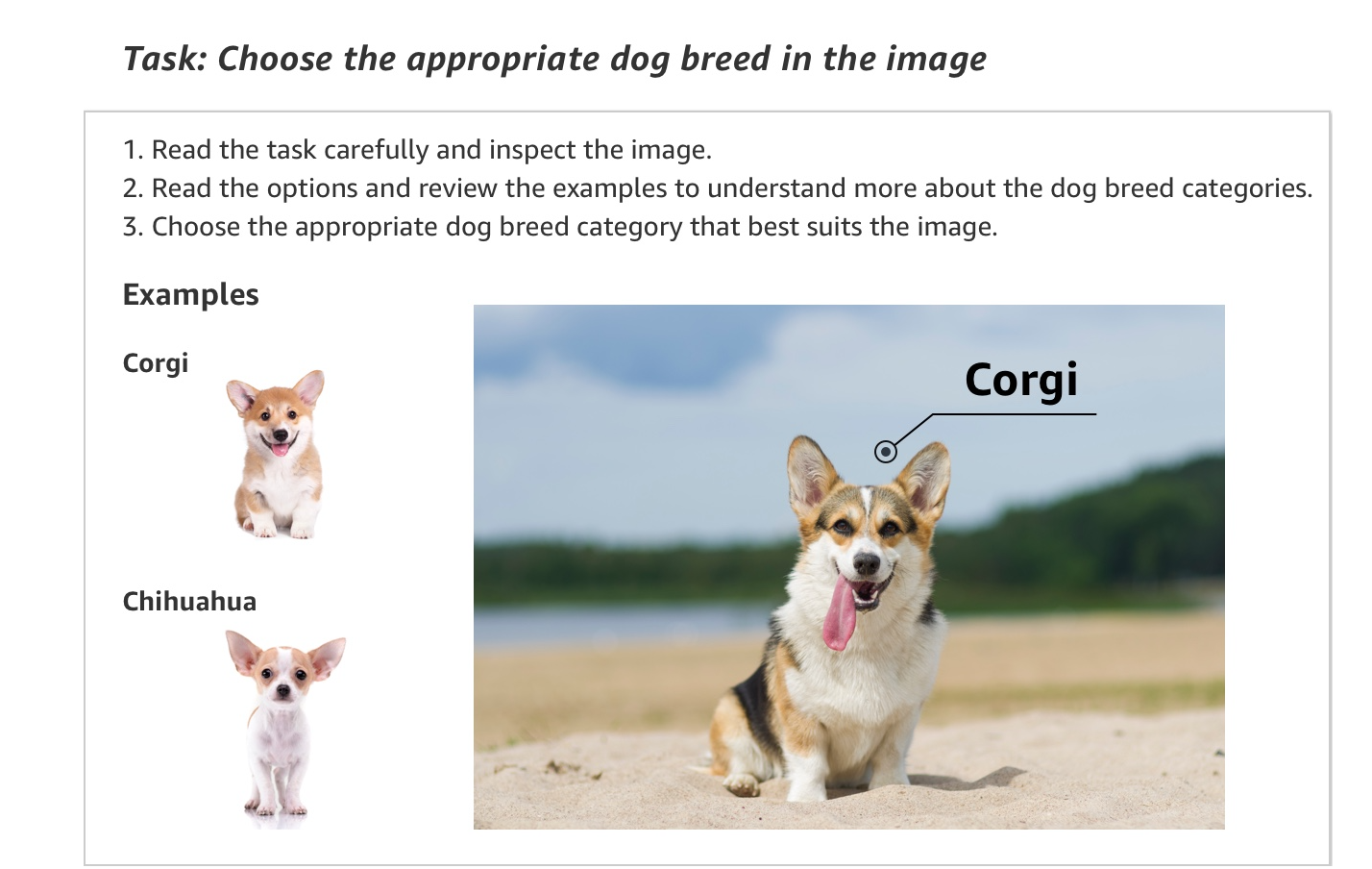 picture.image