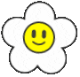 picture.image