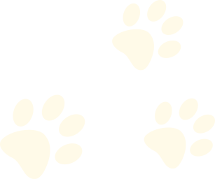 picture.image