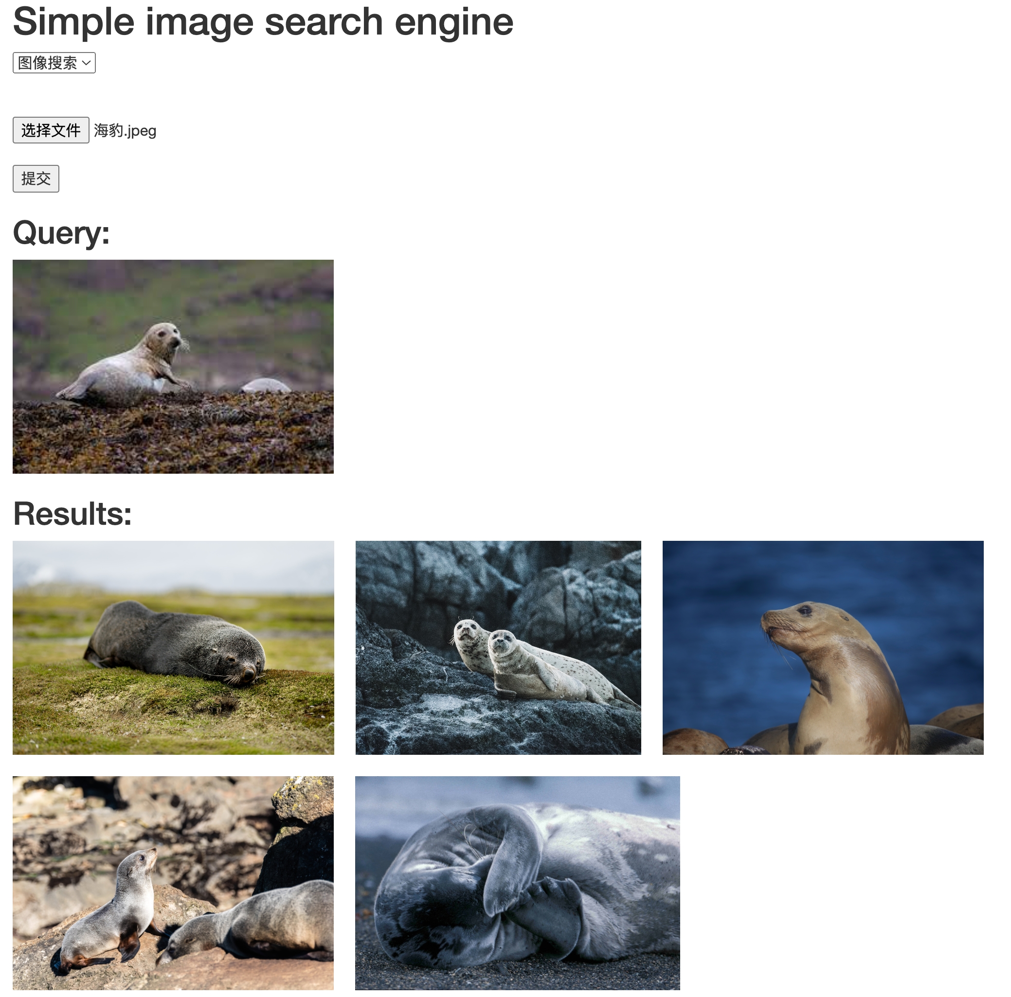 picture.image