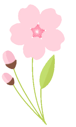 picture.image
