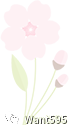 picture.image