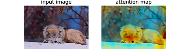 picture.image
