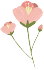 picture.image