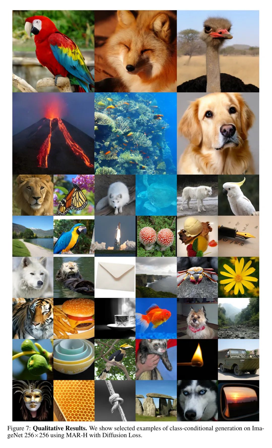 picture.image