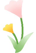 picture.image