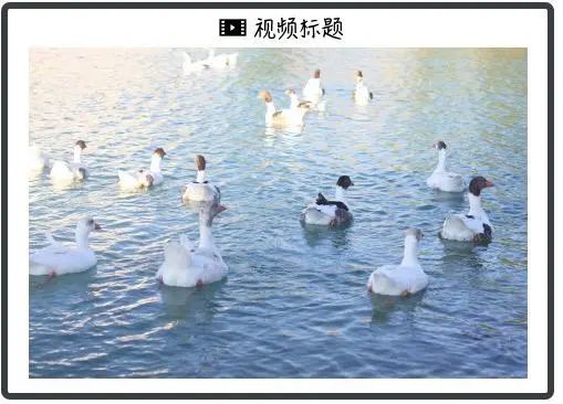 picture.image