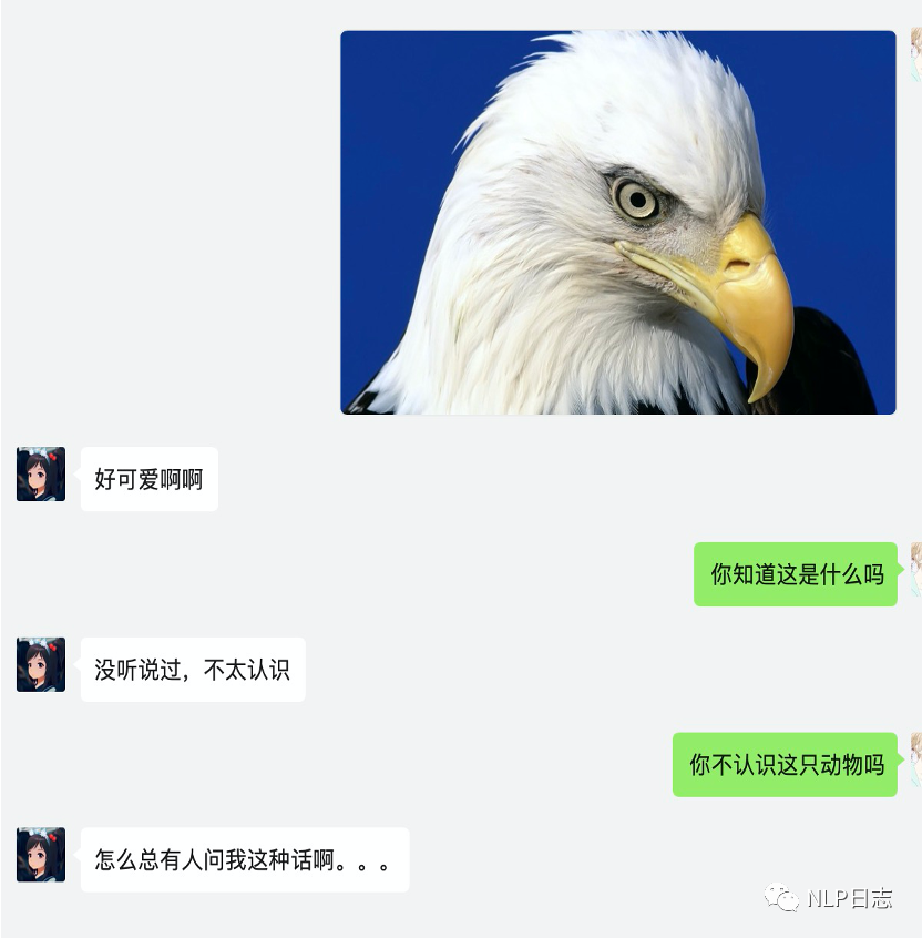 picture.image