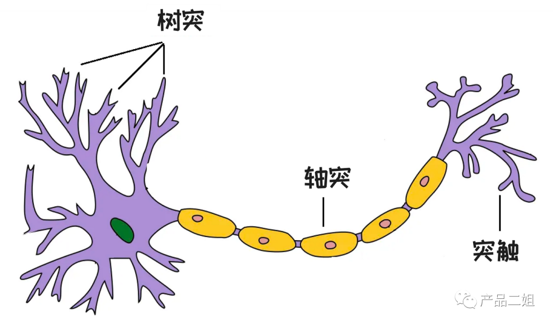 picture.image