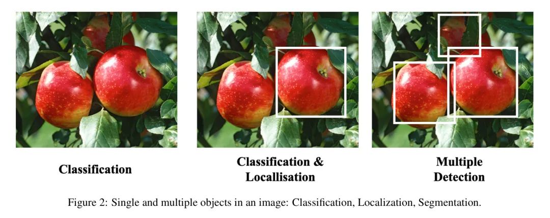 picture.image