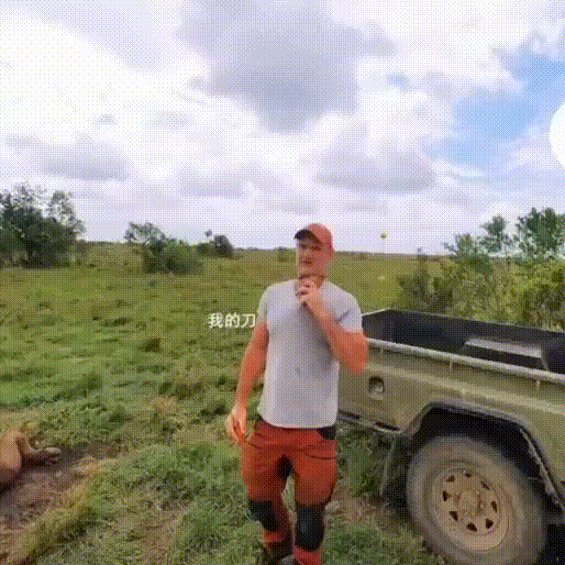 50a972ff746593f453228a90610993ea.gif