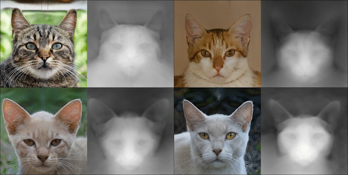 picture.image