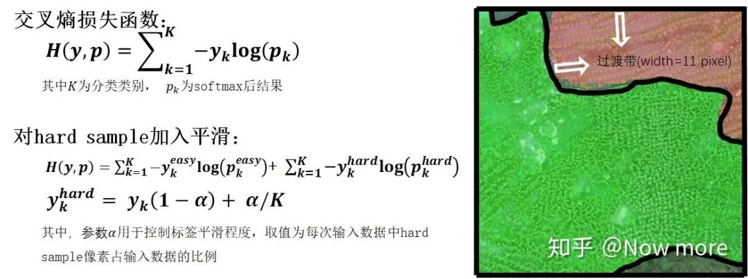 picture.image
