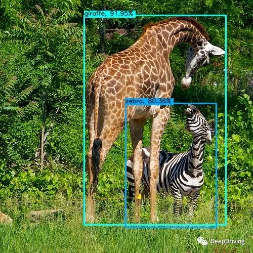 picture.image