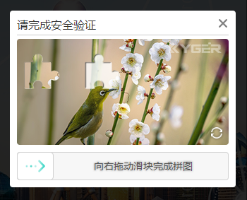 picture.image