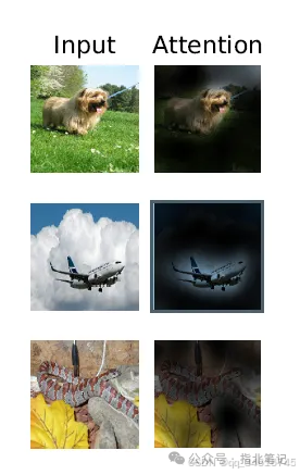 picture.image