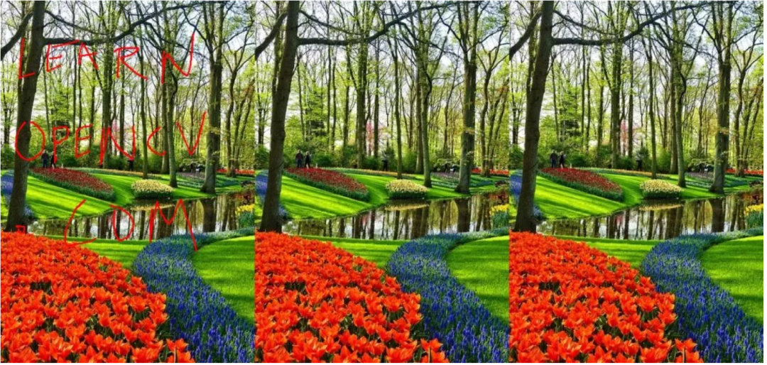 picture.image