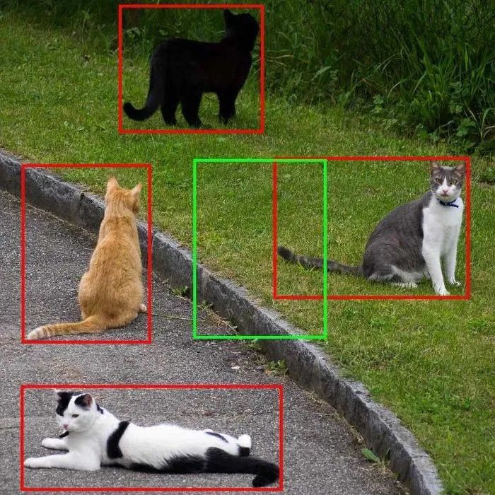 picture.image