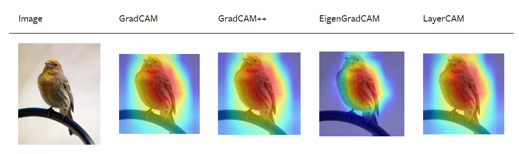 picture.image