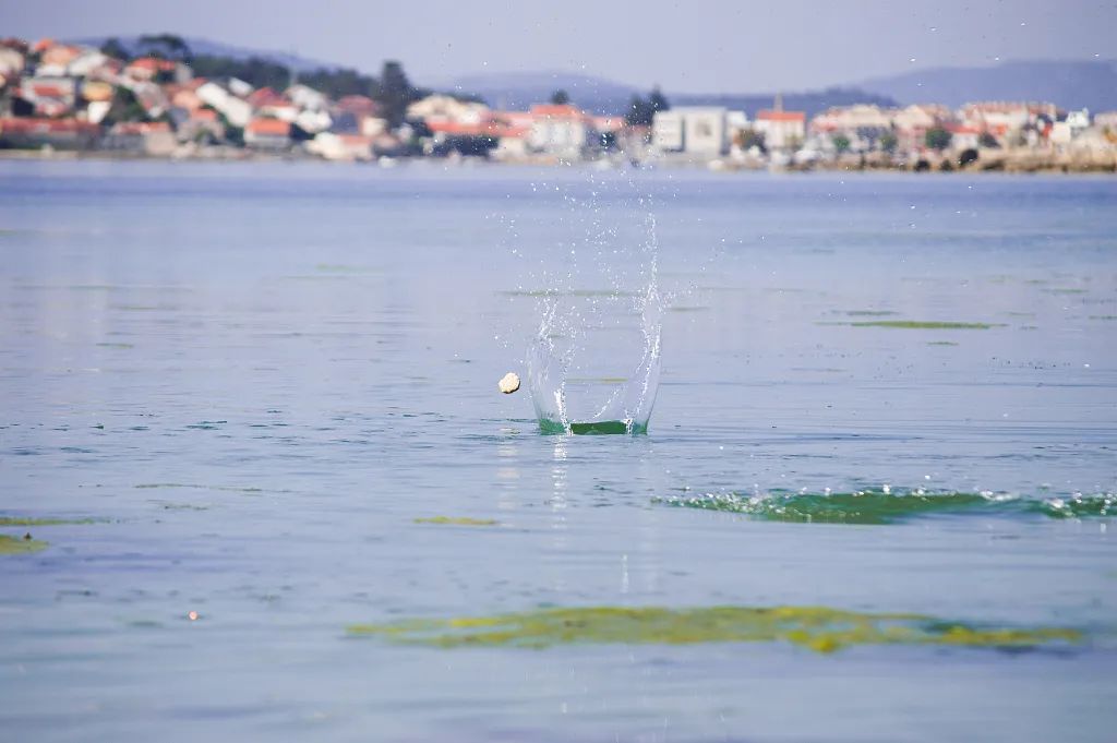 picture.image