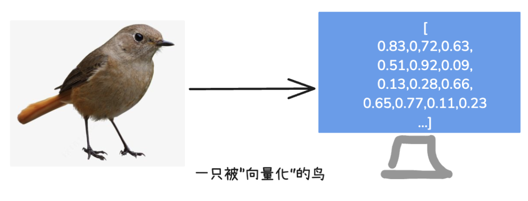 picture.image