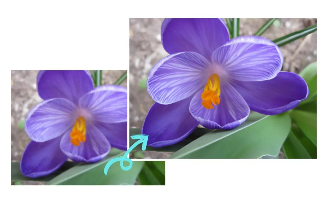 picture.image